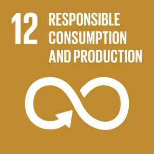 Goal 12: Responsible Consumption and Production (symbolised by an infinity symbol against a brown background)