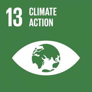 Goal 13: Climate action (symbolised by an iris shaped like planet Earth in an eye, against a green background)
